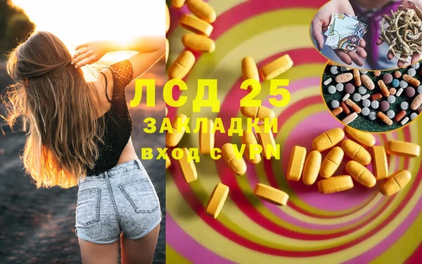 прущие грибы Балабаново