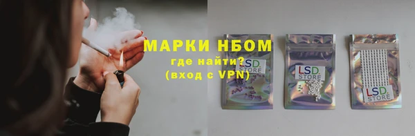 прущие грибы Балабаново