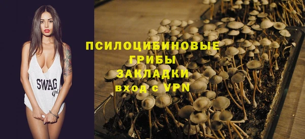 прущие крисы Балахна