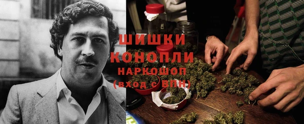 прущие грибы Балабаново